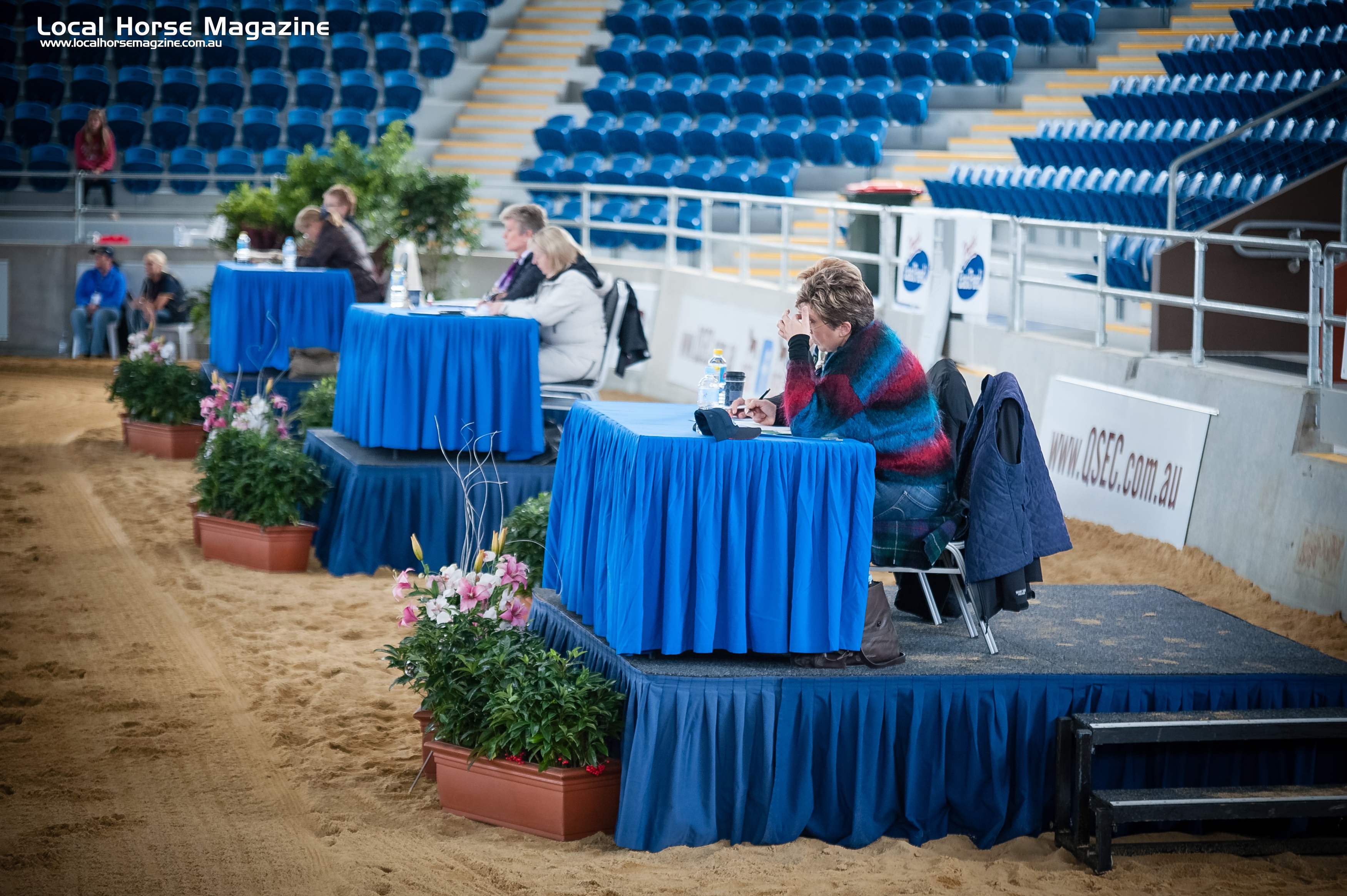 2015-qld-dressage-judge-of-the-year-equestrian-queensland